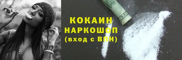 гашик Алзамай