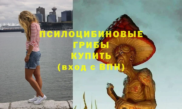 а пвп мука Алексеевка