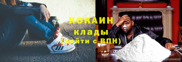 гашик Алзамай