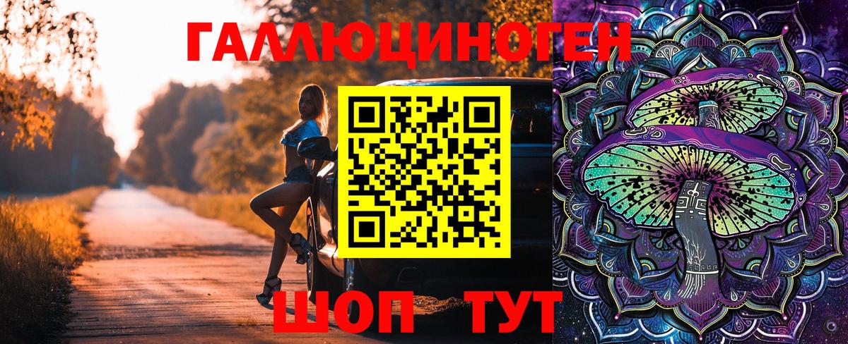 Галлюциногенные грибы прущие грибы  Вход с VPN  Кулебаки 