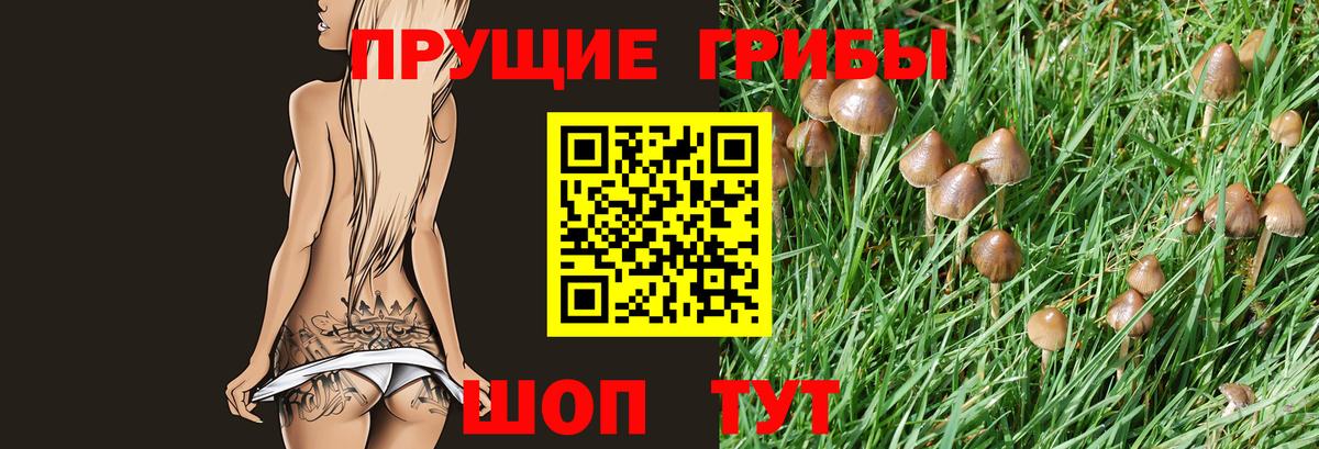 Галлюциногенные грибы мицелий Кулебаки